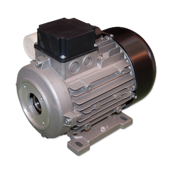 motor-eléctrico-eje-hueco-carcasa motor-eléctrico-eje-hueco-carcasa
